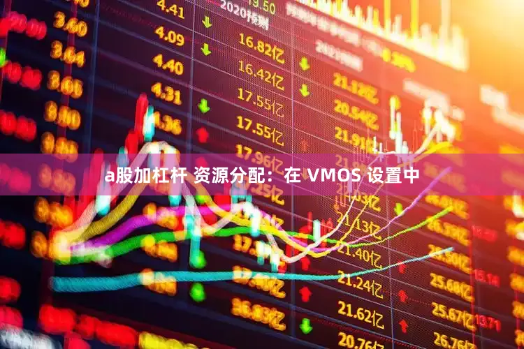 a股加杠杆 资源分配：在 VMOS 设置中